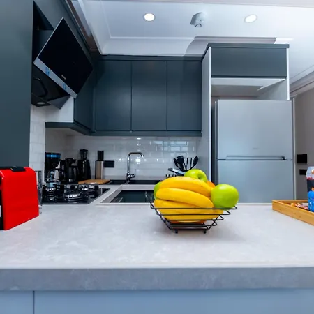 Апартаменты Bosphorus View - 2-bedroom With Elevator & Air Conditioning Стамбул